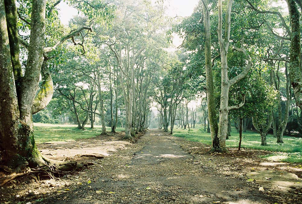 MOKO kohvikupäev Kalamajas